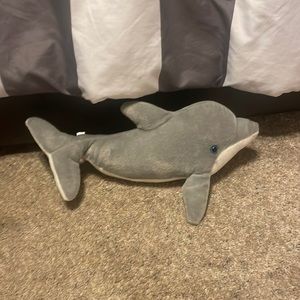 Sea world dolphin (Orlando Fl)